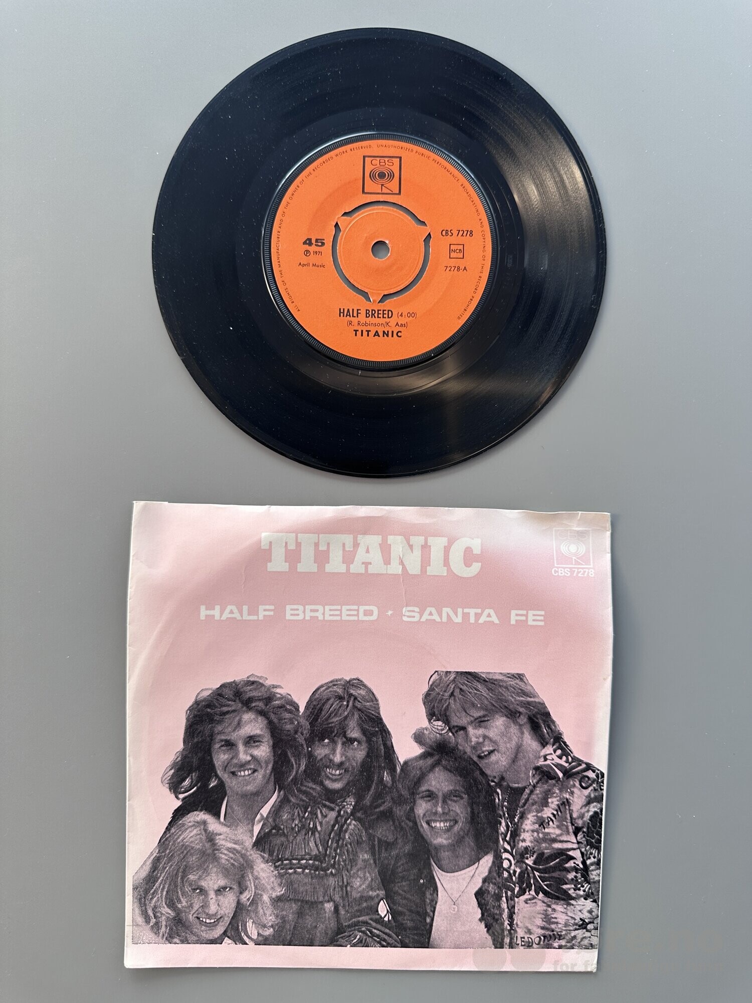 Singel - Titanic - Half breed, bilde 2