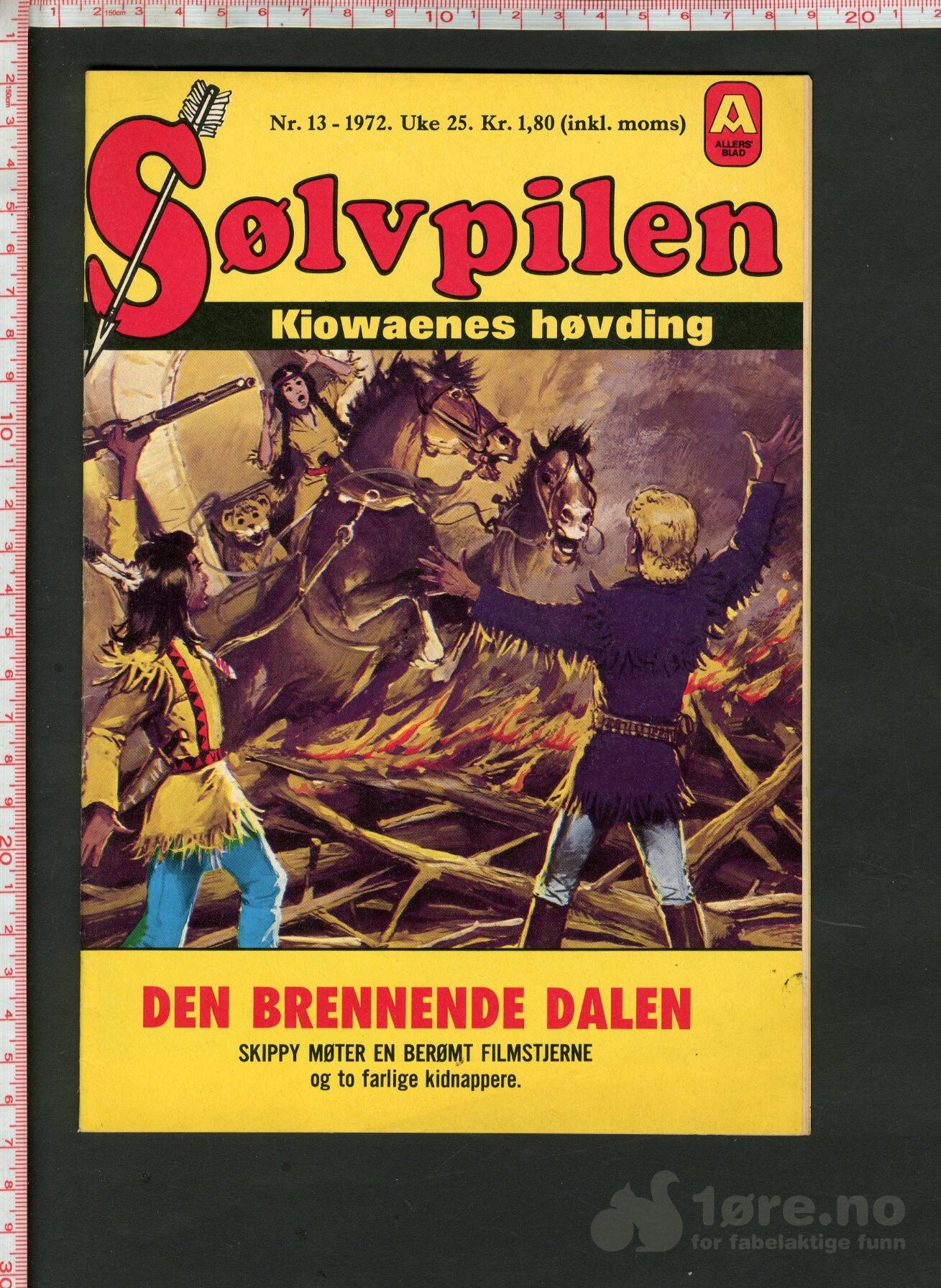Sølvpilen 1972 Nr.13
