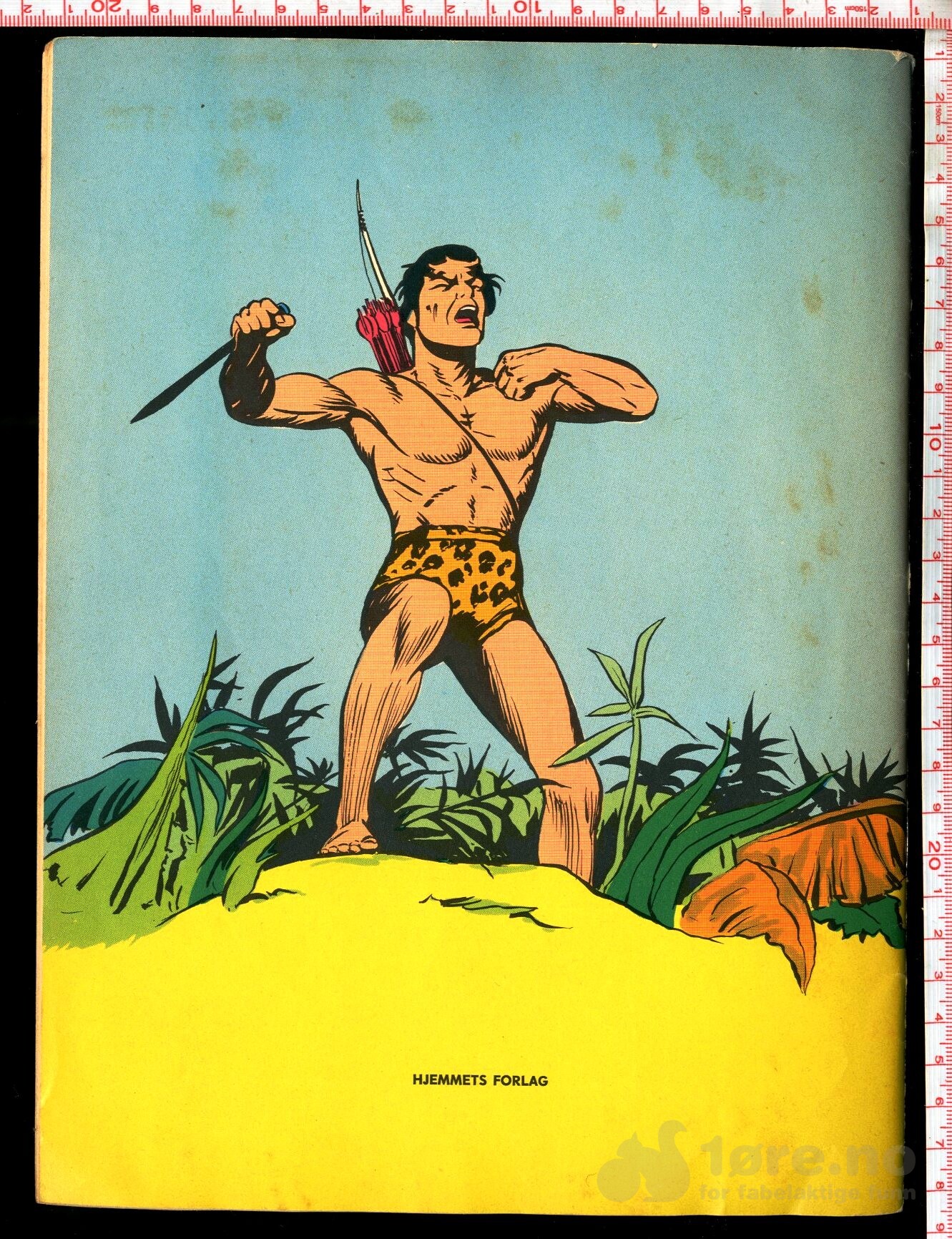 Tarzan 1966, bilde 2