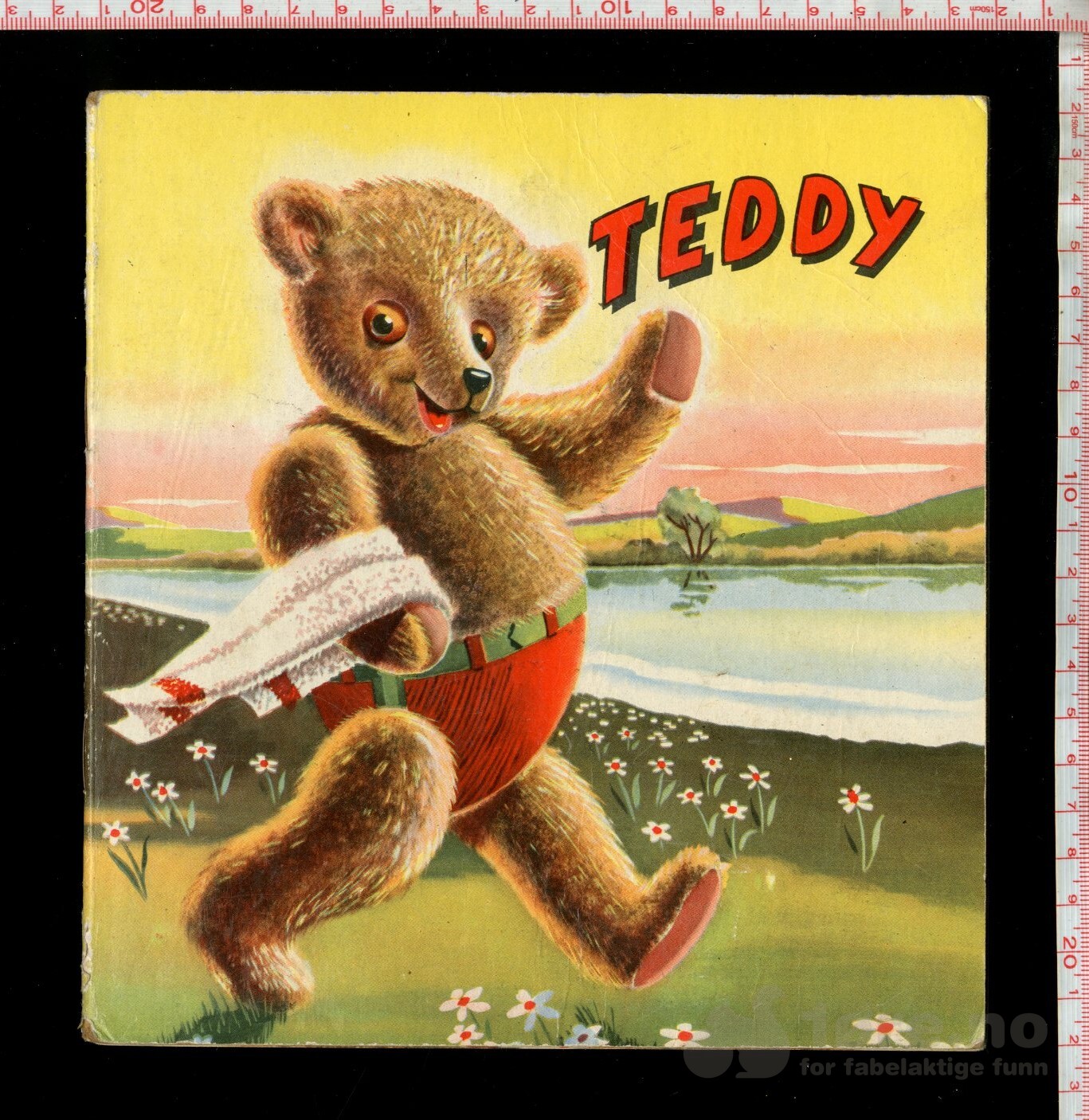 Teddy