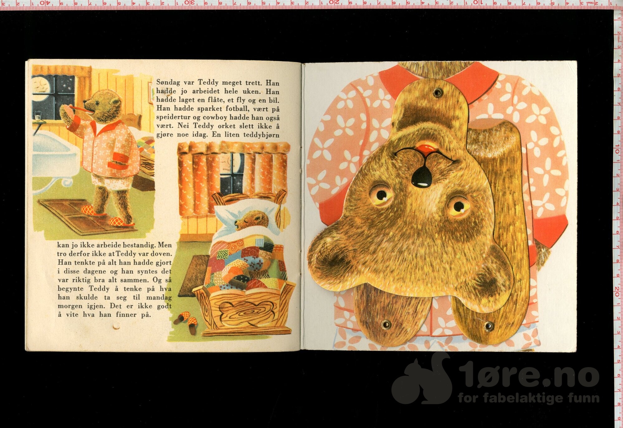Teddy, bilde 3
