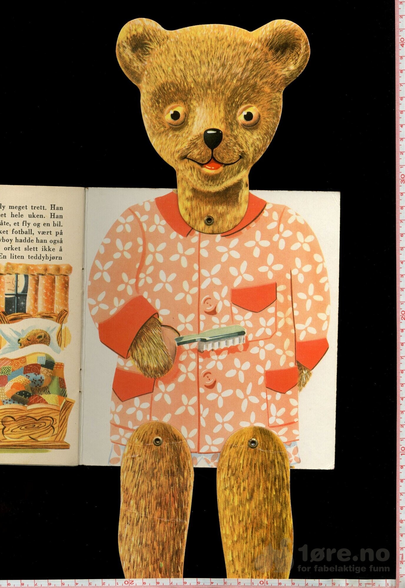 Teddy, bilde 4