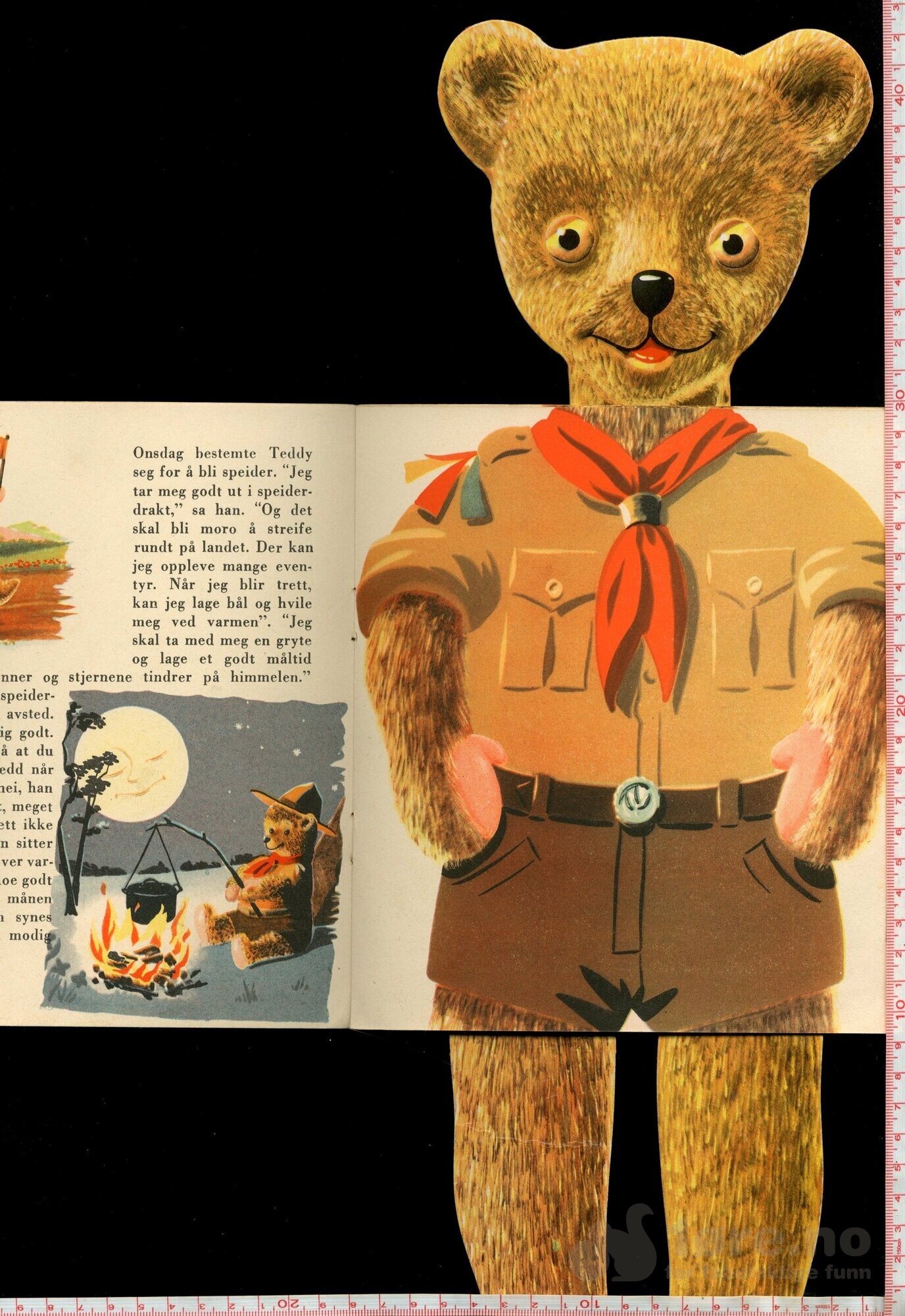 Teddy, bilde 5
