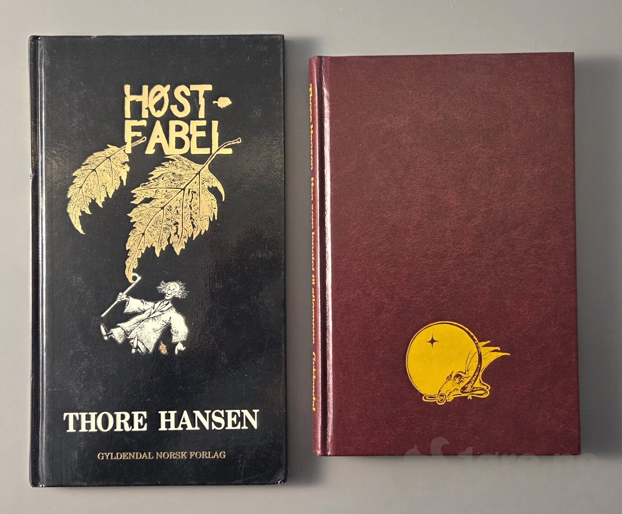 Thore Hansen bøker