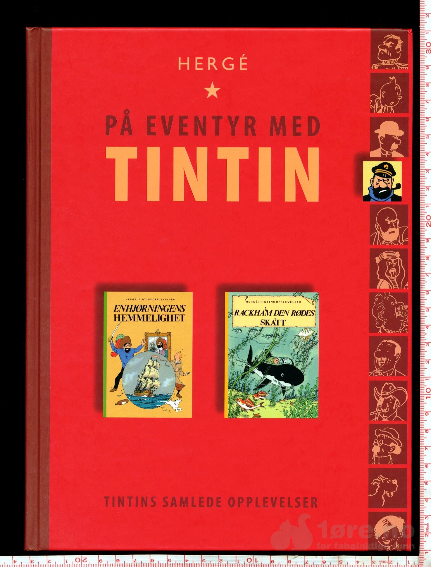 Tintins samlede opplevelse