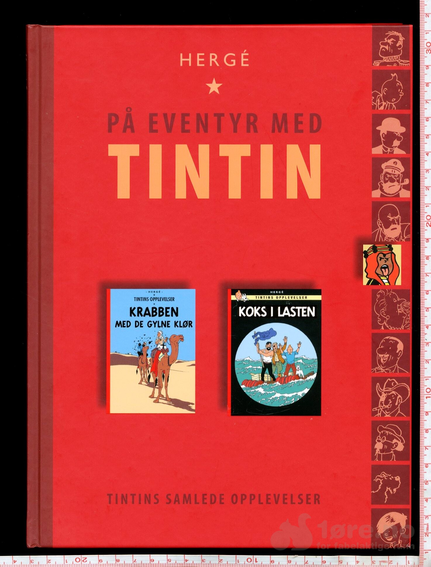 Tintins samlede opplevelse, bilde 4