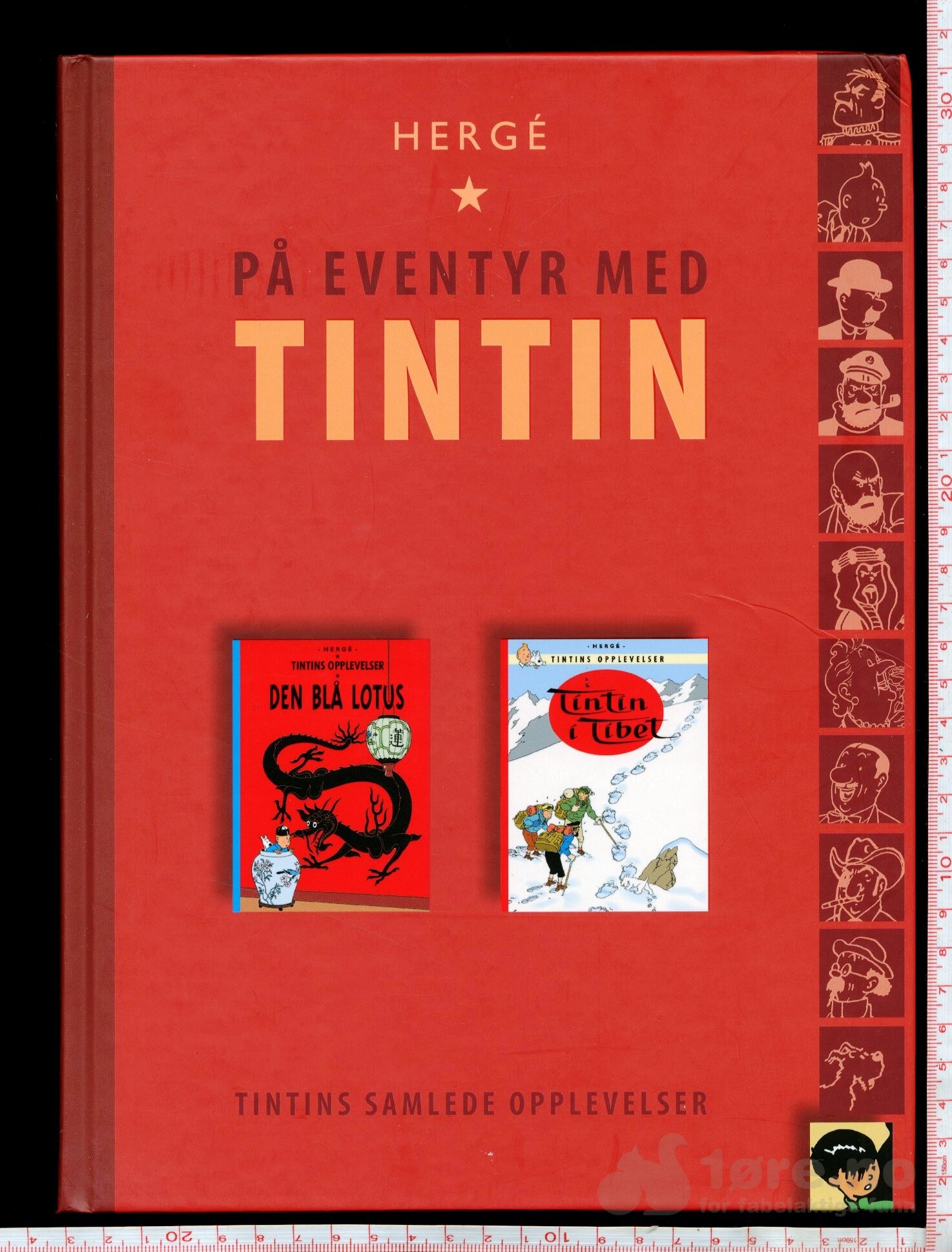Tintins samlede opplevelse, bilde 6
