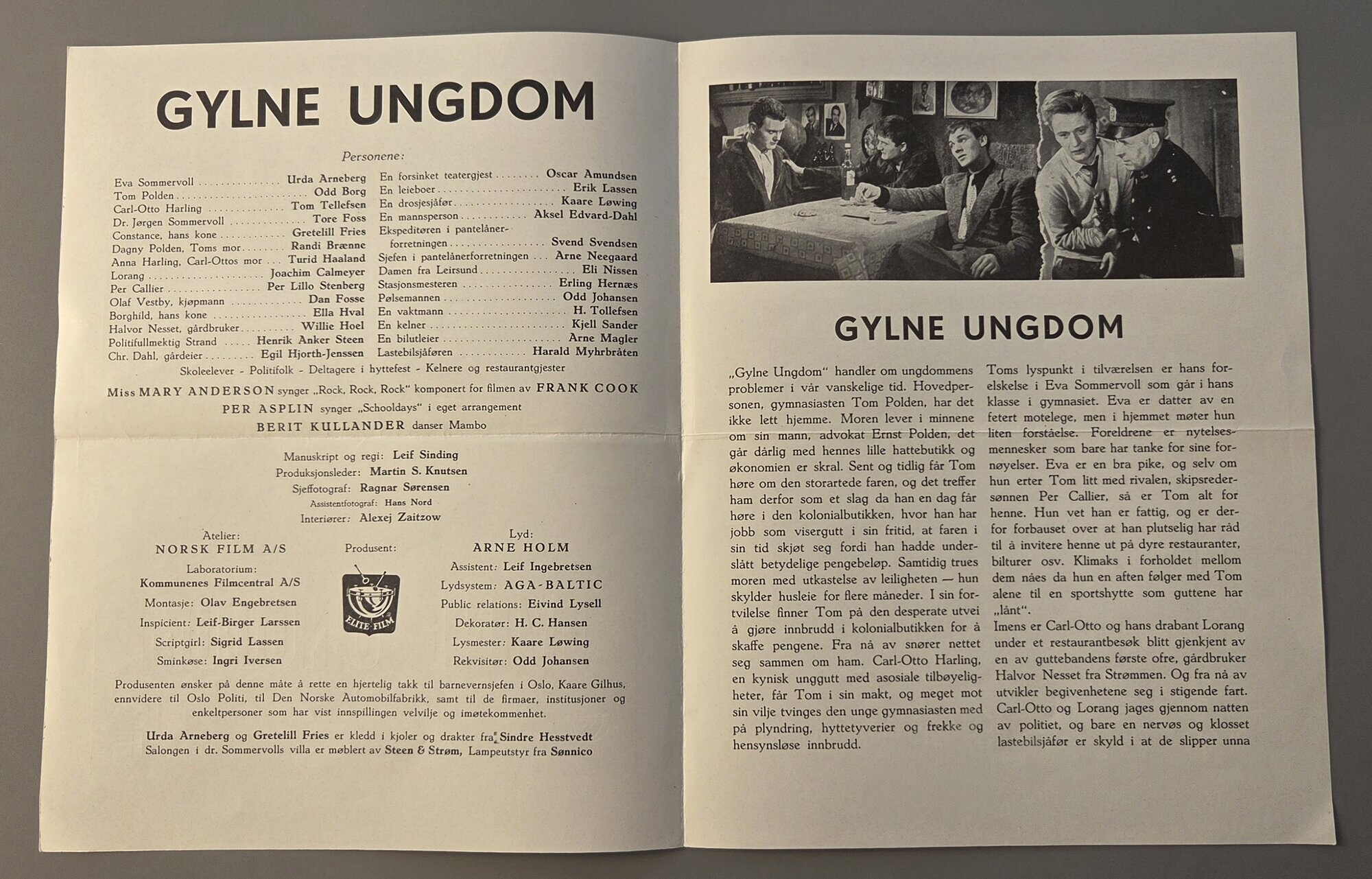 Vaskeseddel - Gylne Ungdom, bilde 2