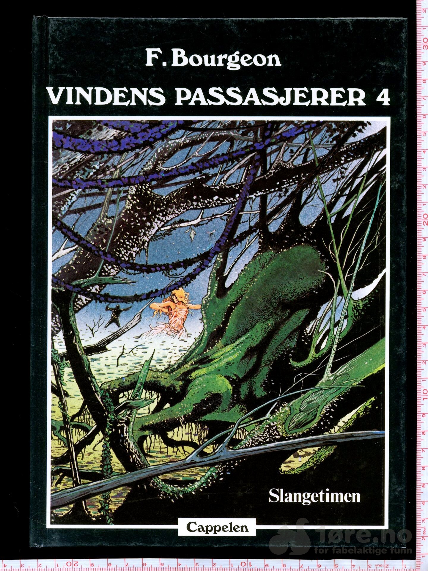 Vindens passasjerer, bilde 5