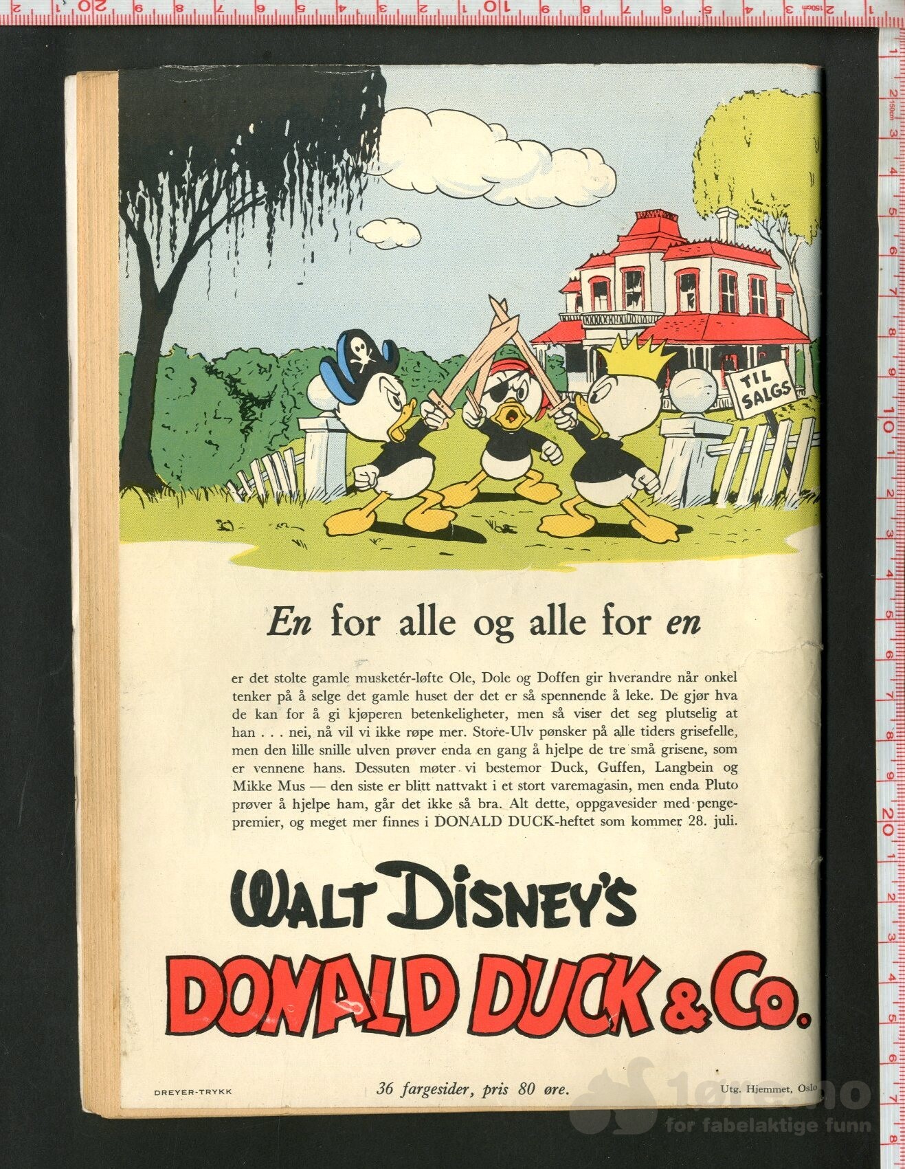 Walt Disney's Serier 1954 nr 7 - På telt-tur med onkel, bilde 2