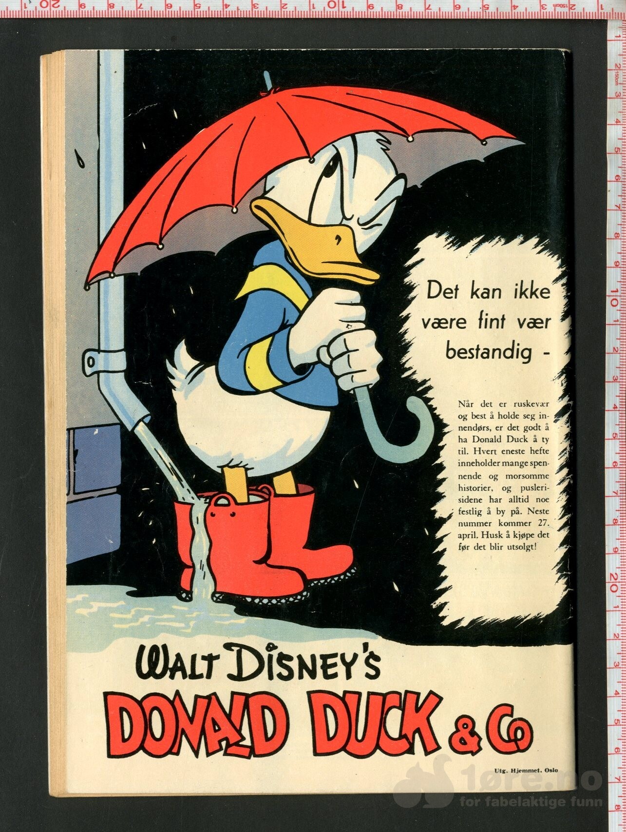 Walt Disney's Serier 1955 nr 4 - Pluto er dagens helt, bilde 2
