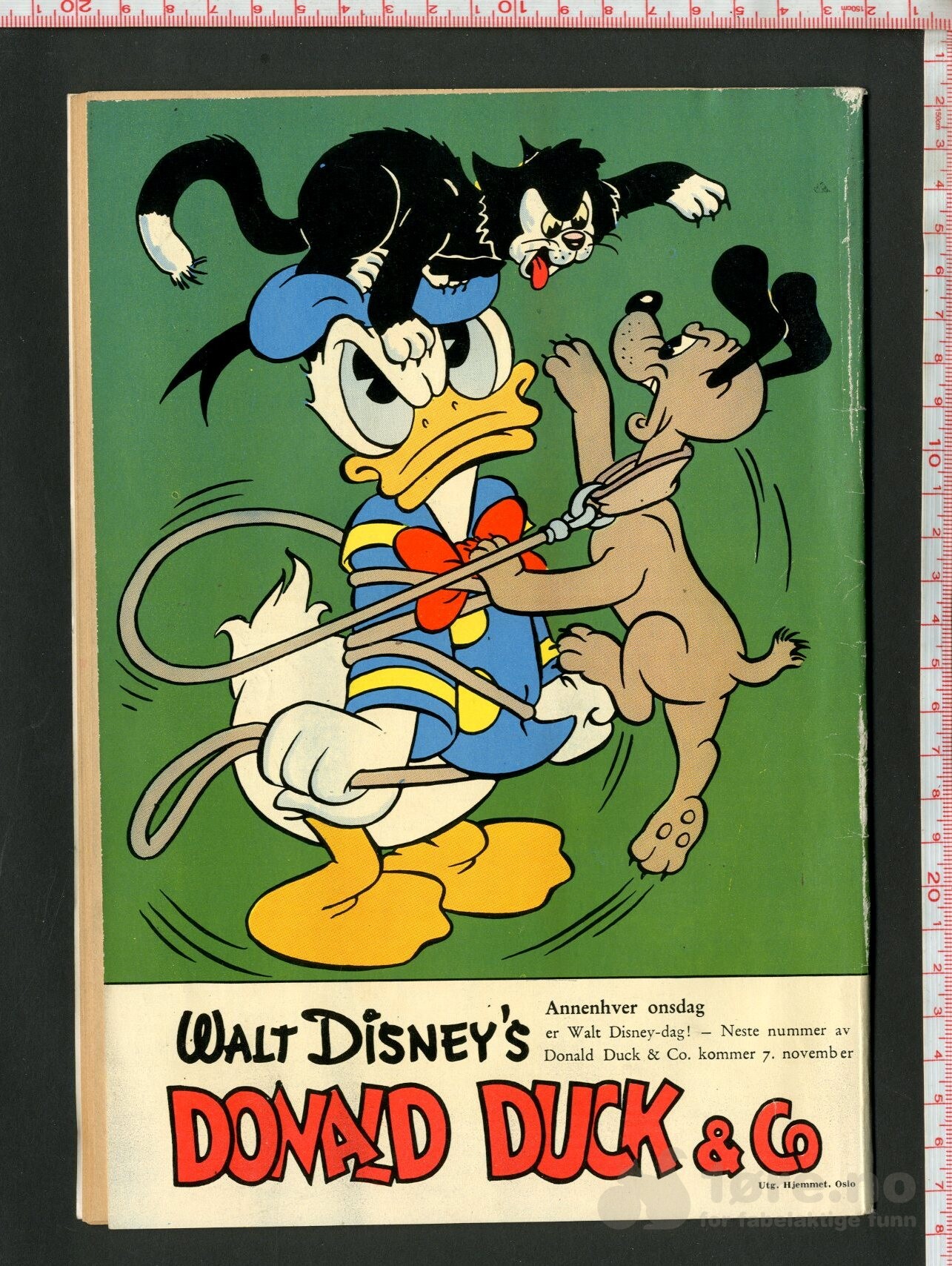 Walt Disney's Serier 1956 nr 11 - Mikke Mus og elfenbenshundene, bilde 2