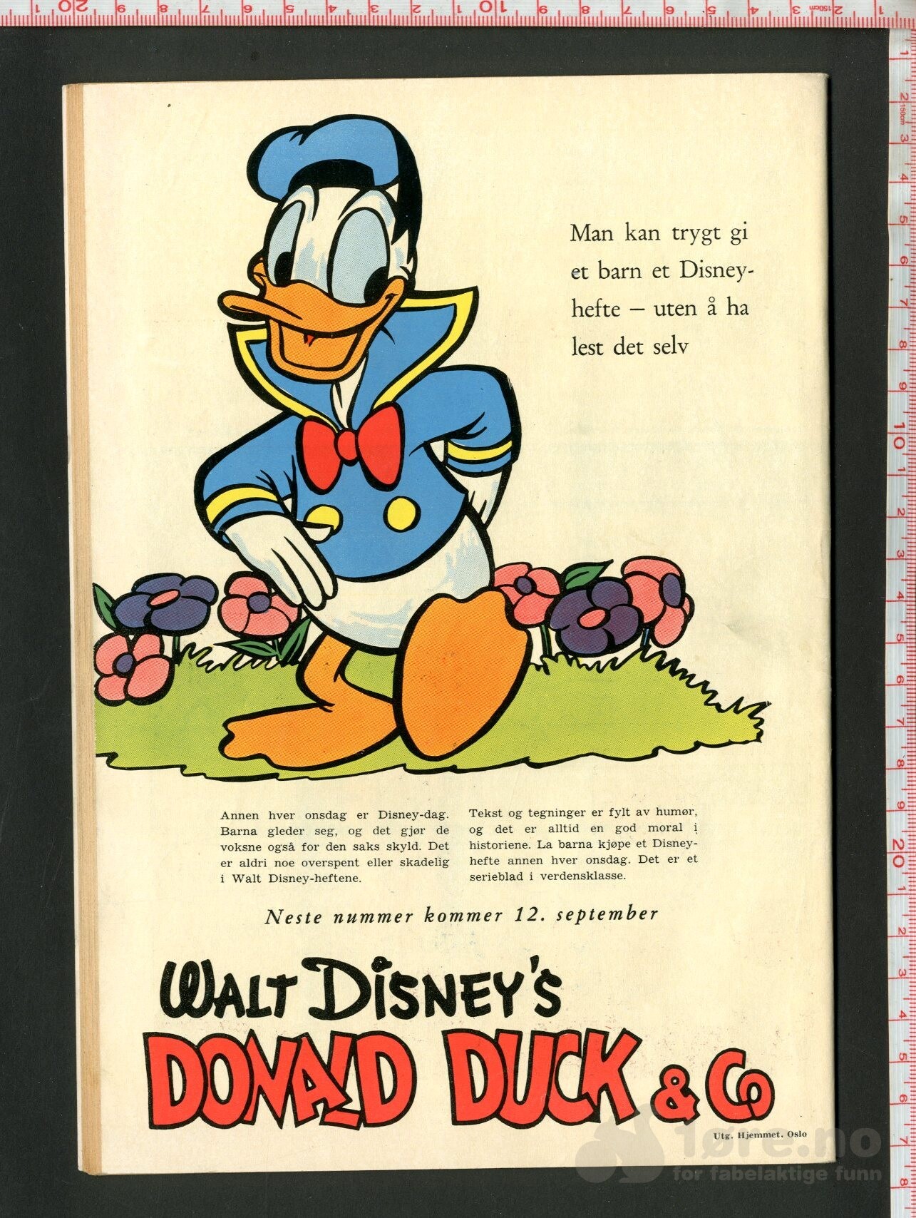 Walt Disney's Serier 1956 nr 9 - Donald Duck reiser til Afrika, bilde 2