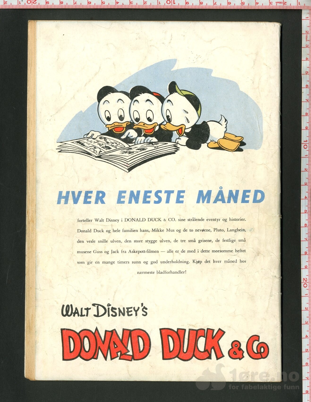 Walt Disney's Serier - Donald Duck på Grønland 1952, bilde 2